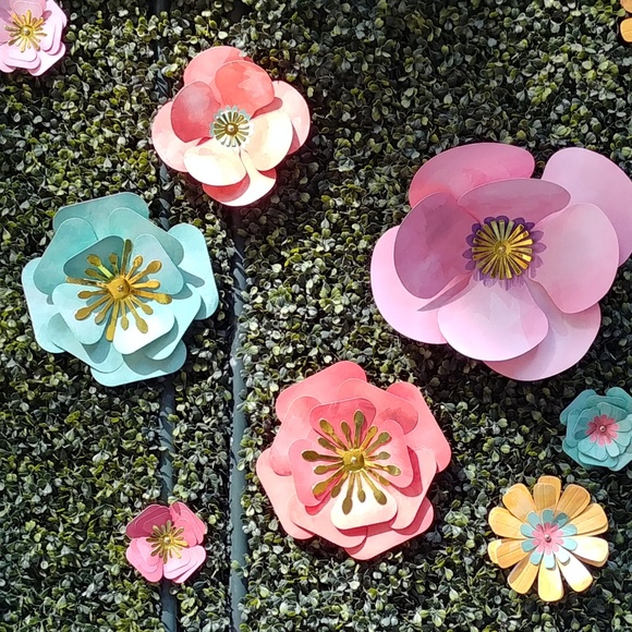 Meet your Posher, Morgan - Picture 1 of 1